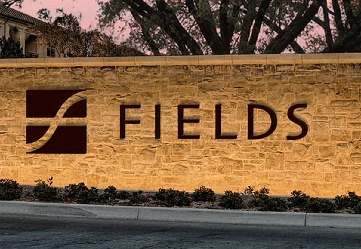 Fields - 40' Lots здание в 3959 Honeycutt Drive, Frisco, TX 75033