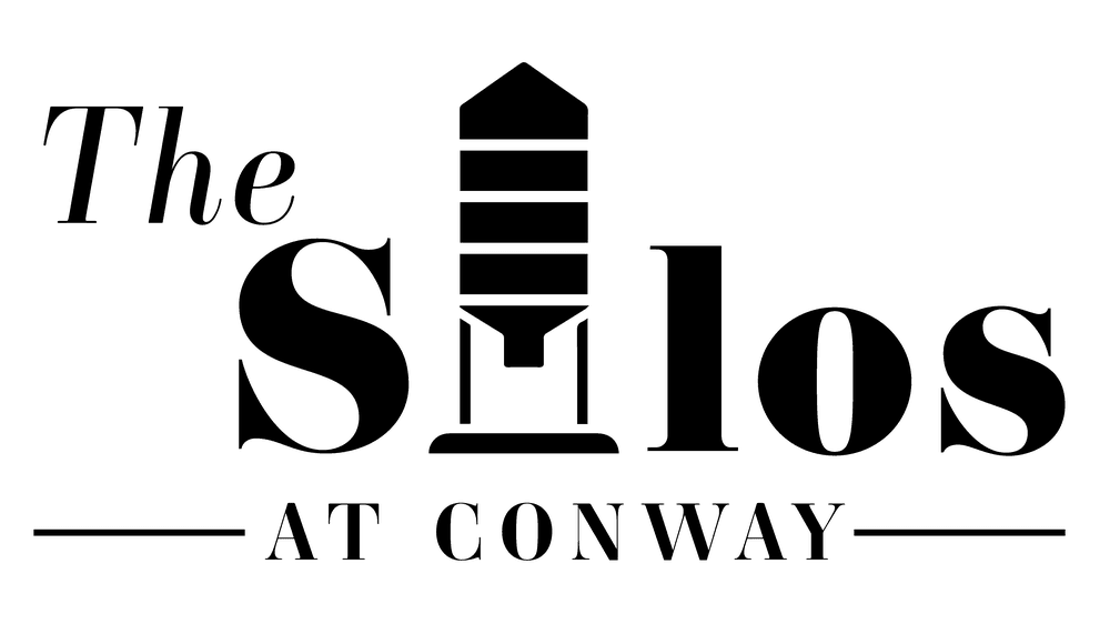 4. The Silos at Conway building at Wire Road, Auburn, AL 36832